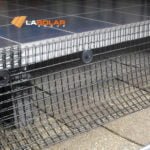 Bird Net Installation