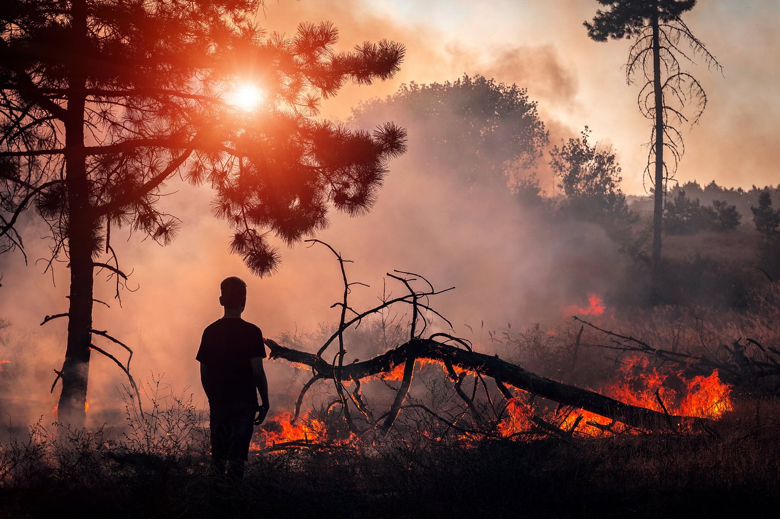 Read more about the article Warning: High Risk Of New Wildfires And California Rolling Blackouts