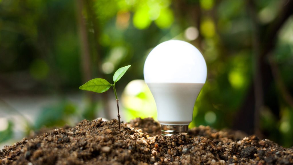 Light-Bulb