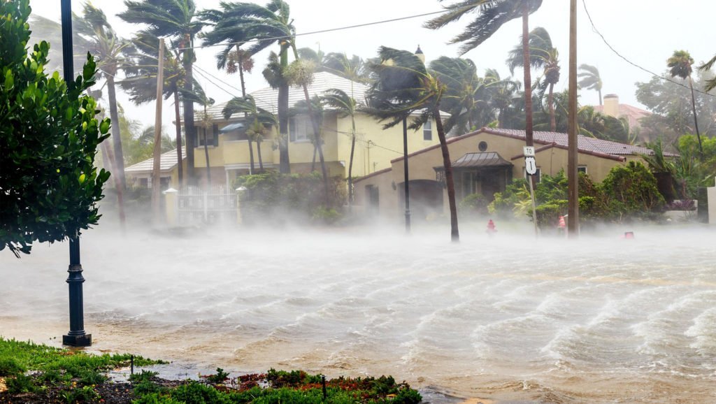 Strong-Wind-In-California