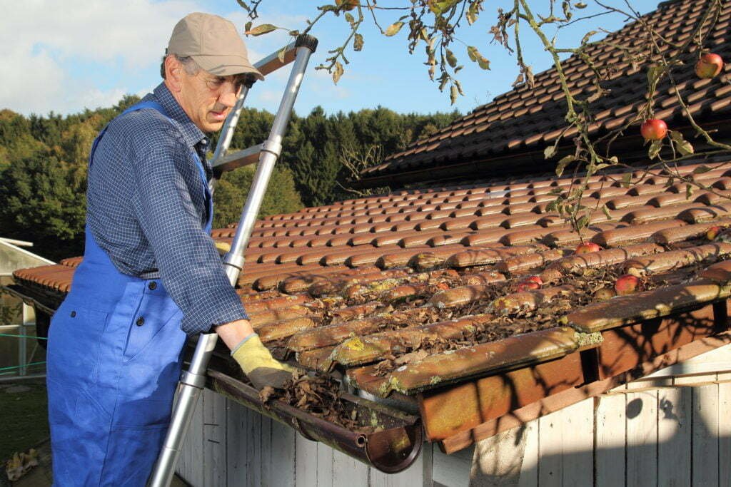 Clean-The-Gutters