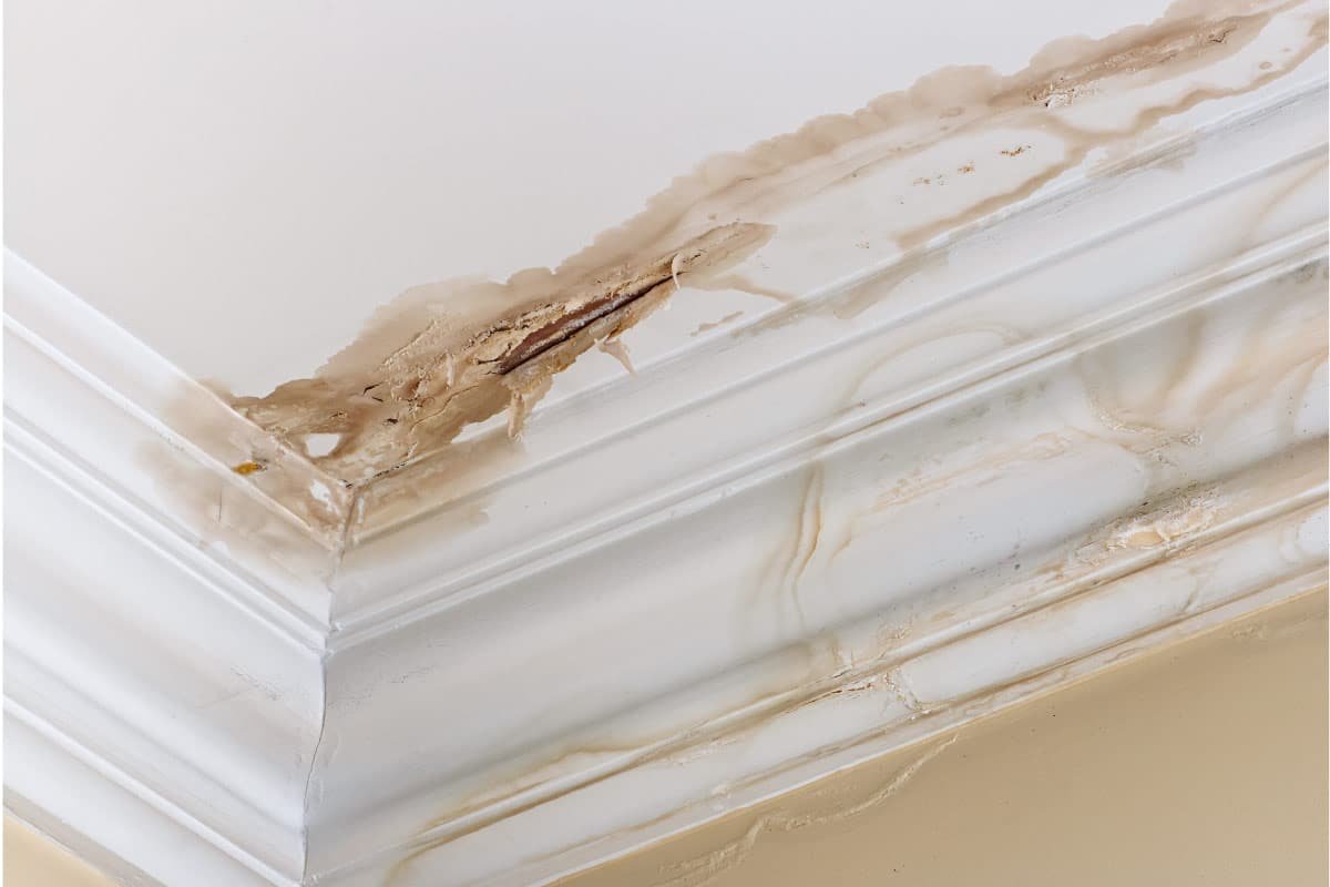 Read more about the article Roof Leak After Solar Panel Installation. What Should I Do?
