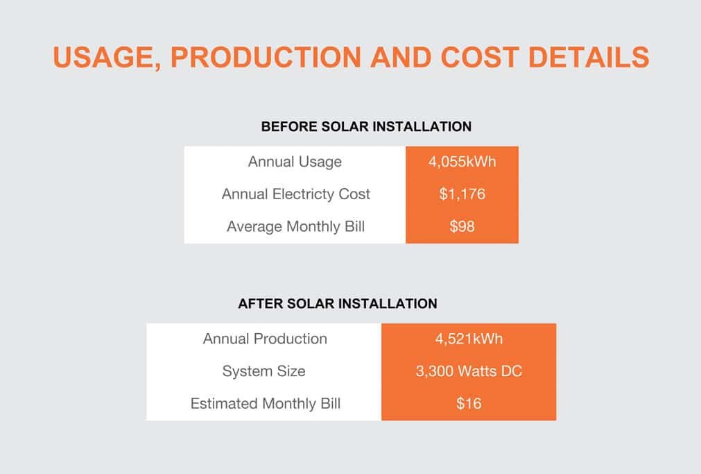 Usage-Production-And-Cost-Details